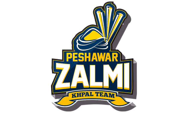 پی ایس ایل کے پہلے ایلیمنیٹر میں زلمی کامیاب