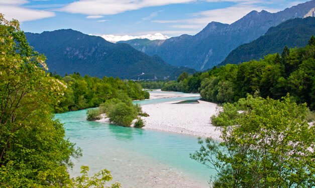 سلووینیا میں کورونا وبا کے خاتمے کا اعلان